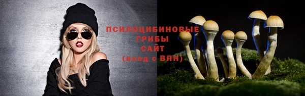 прущие крисы Рославль