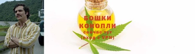 прущие крисы Рославль